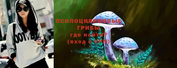 сатива Баксан