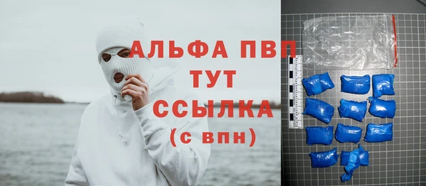 сатива Баксан
