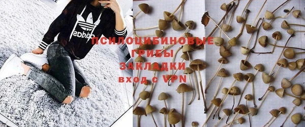 сатива Баксан