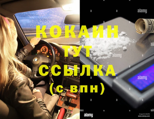 сатива Баксан