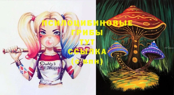 сатива Баксан